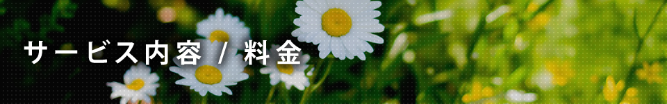 サービス内容 / 料金