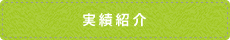 実績紹介